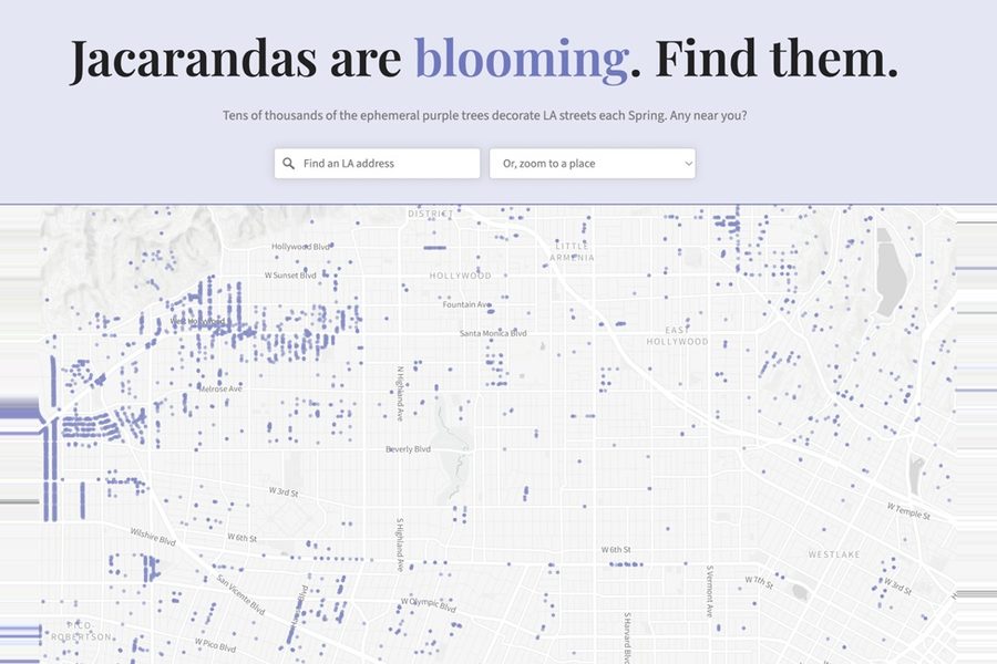 Map of central Los Angeles with purple dots marking jacaranda trees